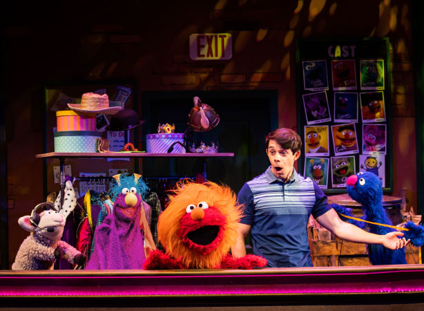 Sesame Street the Musical